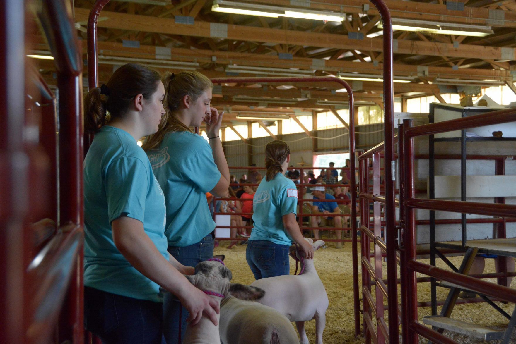 Saturday at the Columbia County Fair